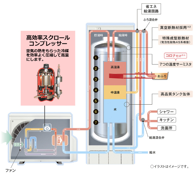 コロナ特徴